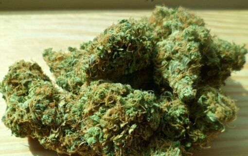 Buy Bubba Kush Cali Weed online