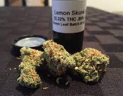Buy Lemon Skunk Exotic Weed Online