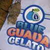 Buy Blue Guava Gelato Strain Online