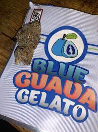 Buy Blue Guava Gelato Strain Online