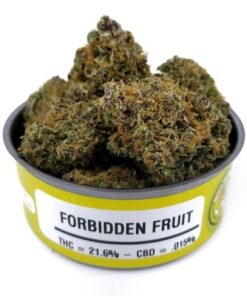 Buy Forbidden Fruit Strain Online