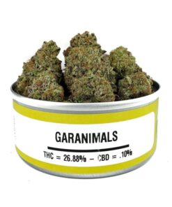 Buy Garanimals Weed Strain Online