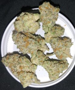 Buy Wedding Crasher Strain Online