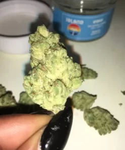 Cheesecake Strain for sale online