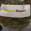 Lemon Sour Diesel Strain