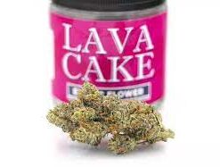 Lava Cake Strain
