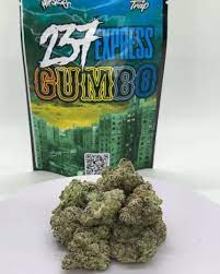 gumbo weed strain