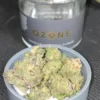 Buy OGKZ Weed Strain Online