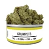 Buy Crumpets Strain Online
