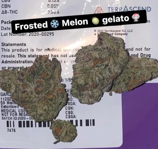 Frosted Melon Gelato Strain