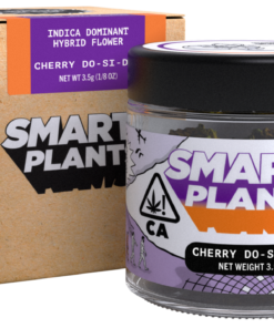 Cherry Dosido Strain